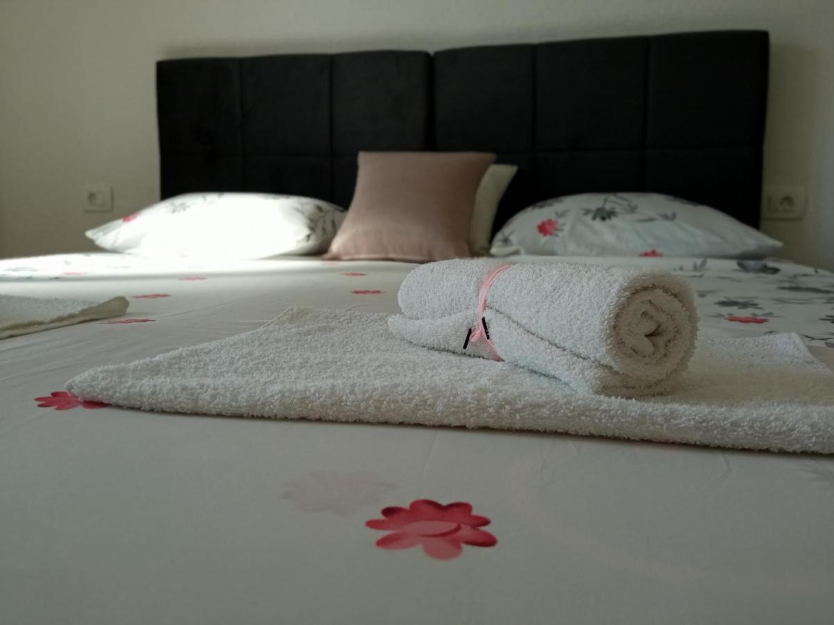 Sun Studio Apartment Komolac المظهر الخارجي الصورة